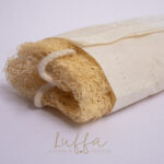 luffa esponja vegetal