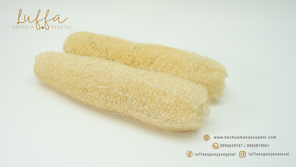 luffa-esponja-natural-ecuador-estropajo-biodegradable